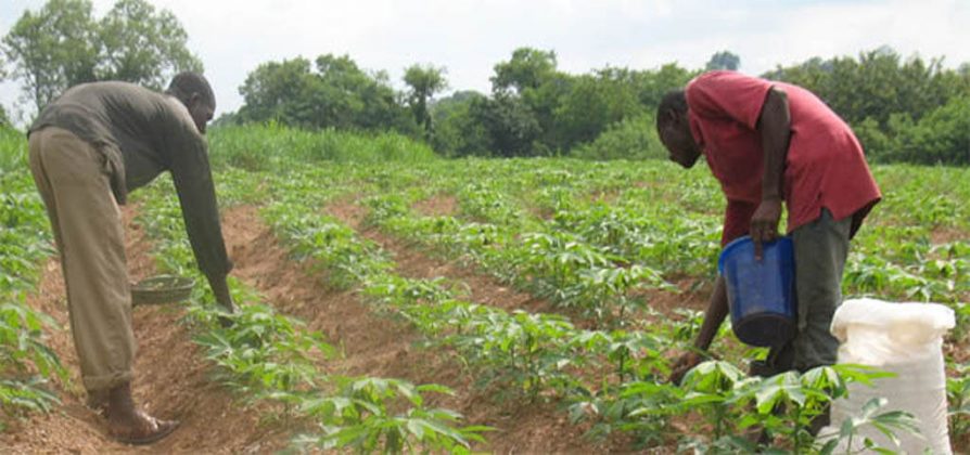 AFDB Leads Drive To Boost Local Supply By Smallholder Farmers In Africa ...