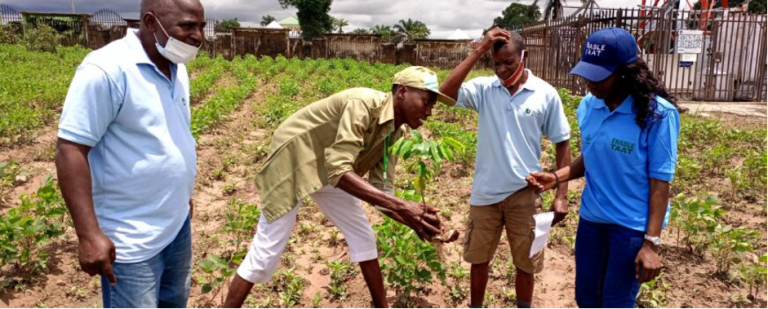 The Zambian Youth Agricultural Transformation - African Leadership Magazine