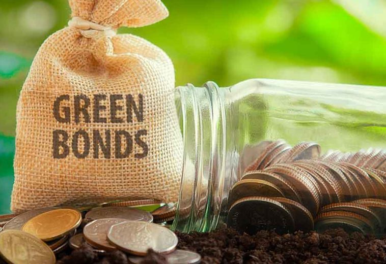 Green Bonds and Sustainable Finance in African Markets