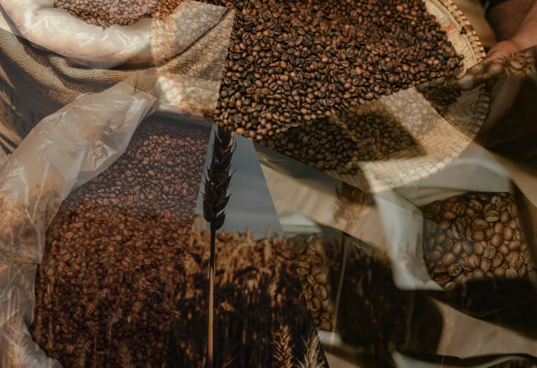 Ethiopia’s Exports: Exploring the Richness of Africa’s Largest Coffee Producer