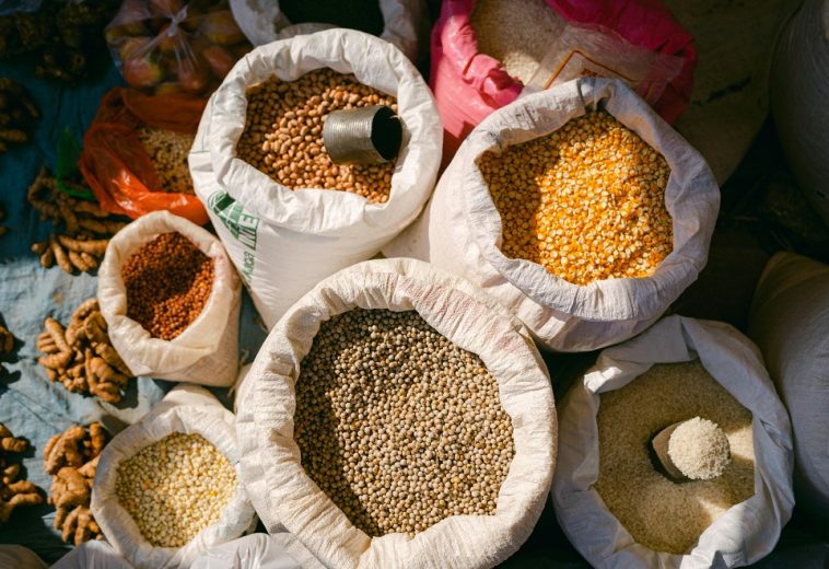 Africa’s Malnutrition Makeover: Rethinking Food Security Strategies