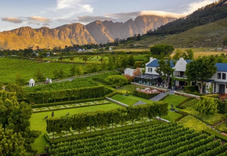 South Africa’s Cape Winelands: Terroir, History and Taste