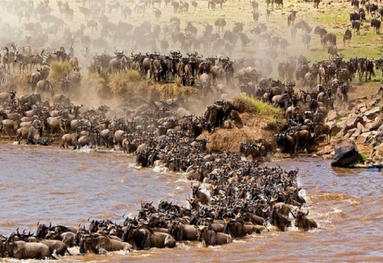 Why The Kenyan Maasai Mara Is a Must-See Marvel