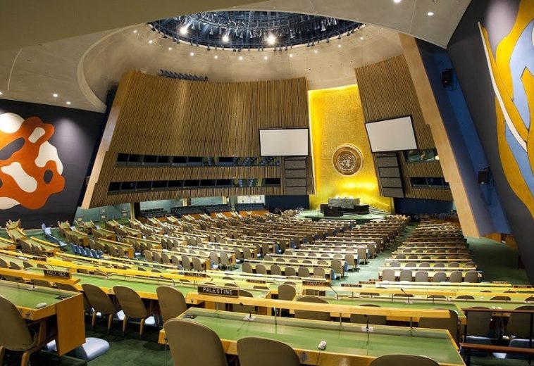 UN General Assembly 2024: Africa’s Hopes Amid Global Expectations