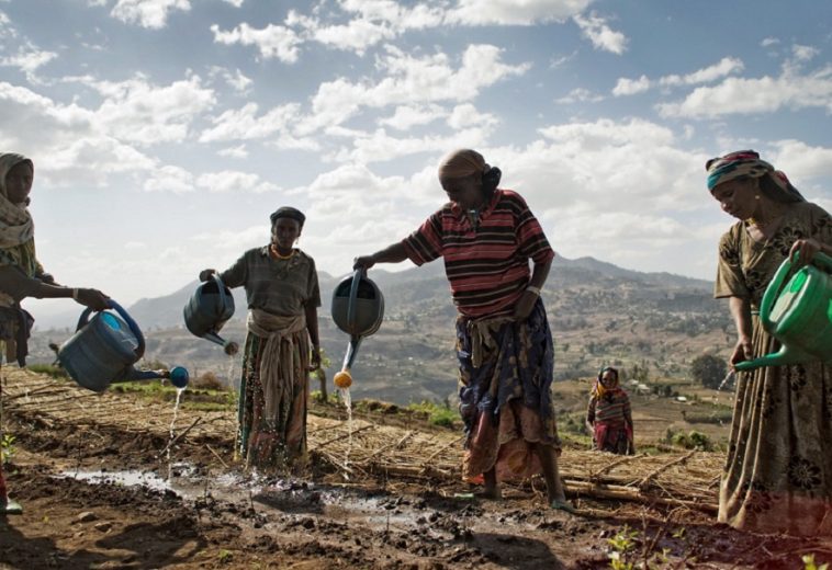 Impact of Climate Change on Rural Communities in Africa