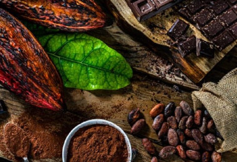 Reviving Africa’s Cocoa Industry: From Local Farms to Global Markets