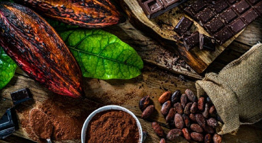 Reviving Africa’s Cocoa Industry: From Local Farms to Global Markets