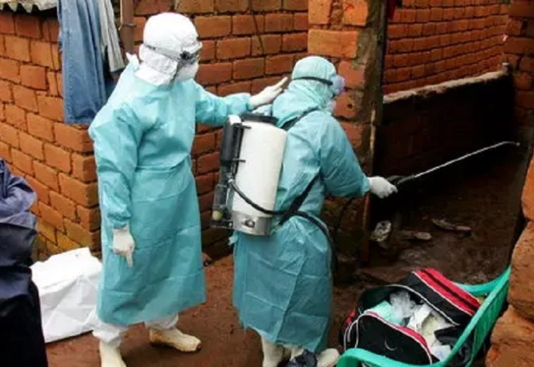 Rwanda’s Marburg Virus Outbreak: Managing Epidemics in East Africa