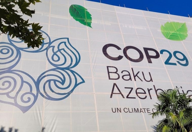 COP29: Key Voices Amid Africa’s Expectations