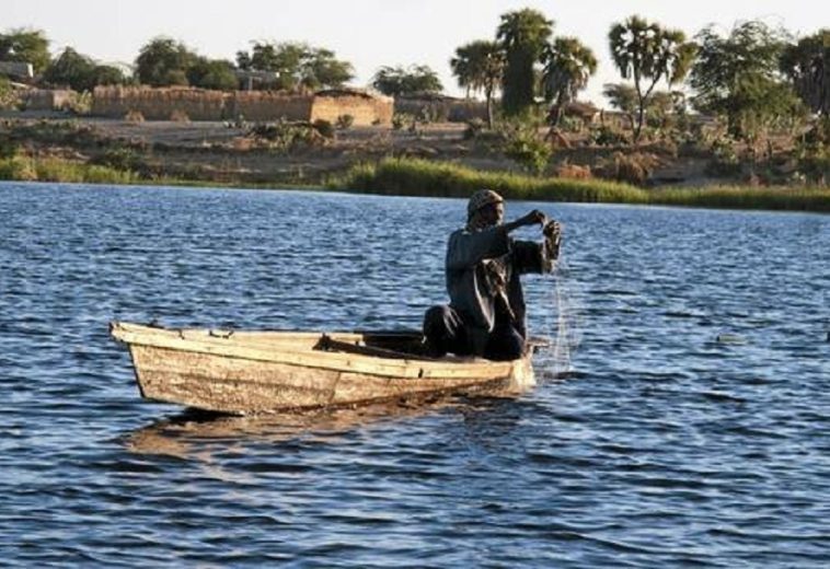 Lake Chad: Is There Hope for Saving the Disappearing Lake?