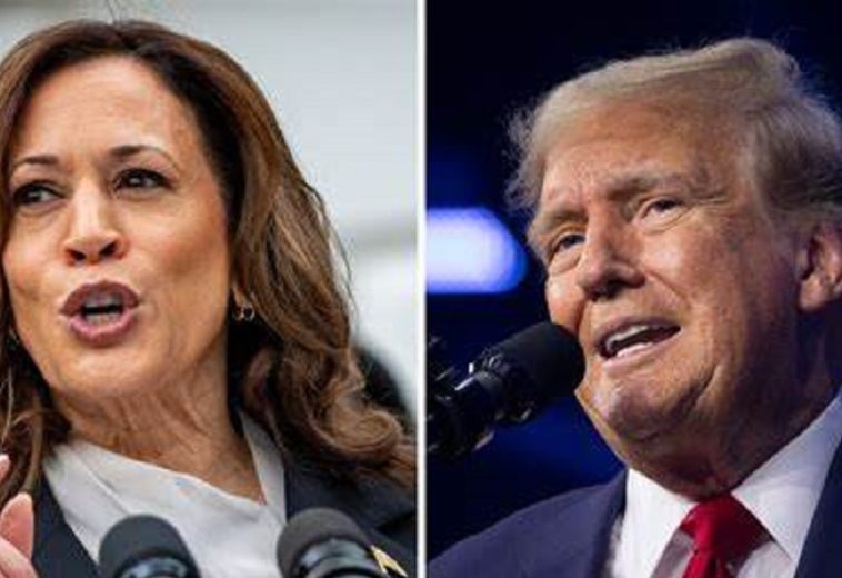 Trump vs. Harris 2024: How the Process Could Influence African Politics