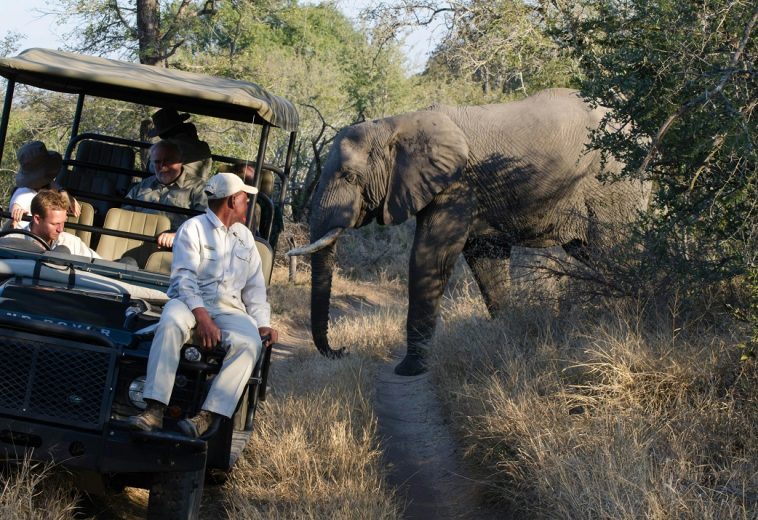 Beyond Wildlife and Safaris: What’s Next for Africa’s Tourism?