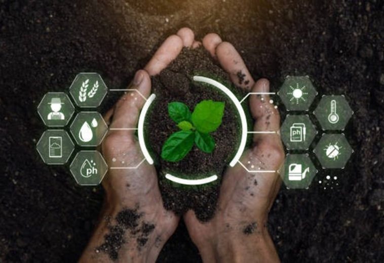 The Next 6 Big Leaps in African Agritech for 2025