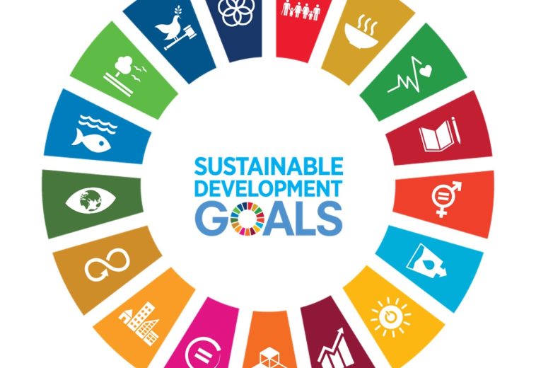 SDGs 10 Achievements in Africa: The Battle Against Inequality is Far From Over