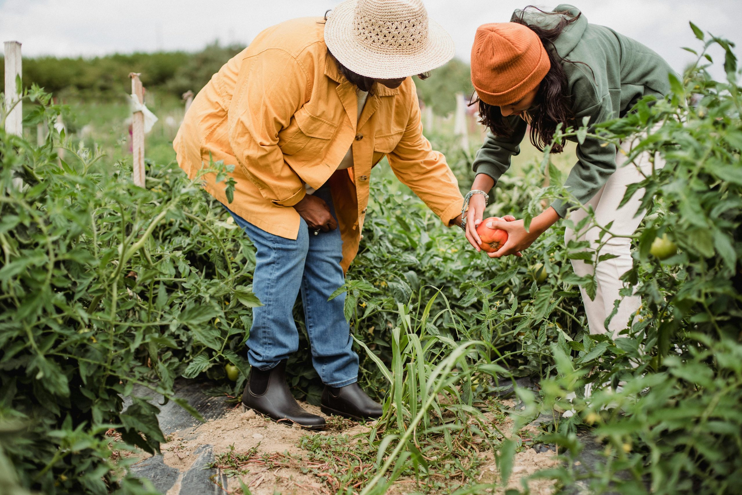 The Role of Intra-African Trade in Boosting Agricultural Productivity